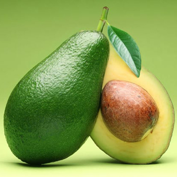 Avocado-Fruits-paradise-exports.lk