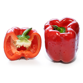 Capsicum-Vegitables-paradise-exports.lk