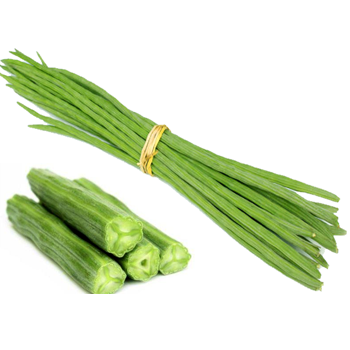 Drumstick-Vegitables-paradise-exports.lk