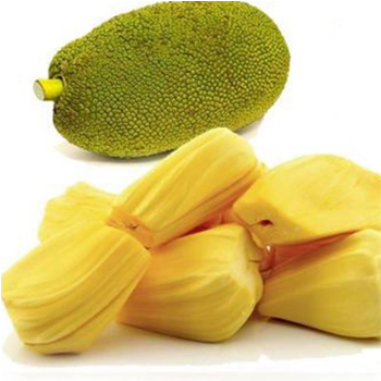 Jack-Fruit-Vegitables-paradise-exports.lk