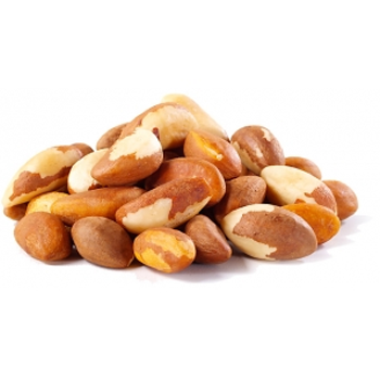 Jackfruit-Seeds-Vegitables-paradise-exports.lk