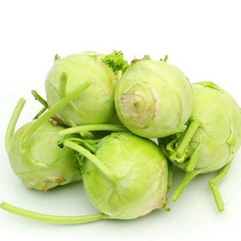 Knol-Khol-Vegitables-paradise-exports.lk