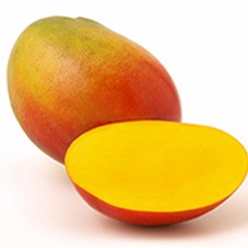 Mango-Fruits-paradise-exports.lk