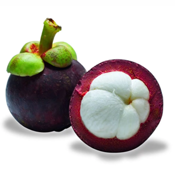 Mangosteen-Fruits-paradise-exports.lk
