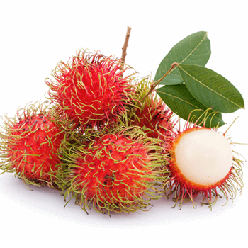 Rambutan-Fruits-paradise-exports.lk